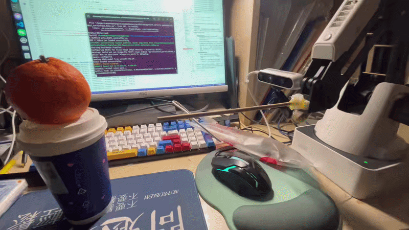 对抗机器人的运行演示